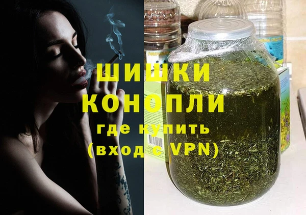 тгк Бородино