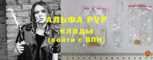 тгк Бородино